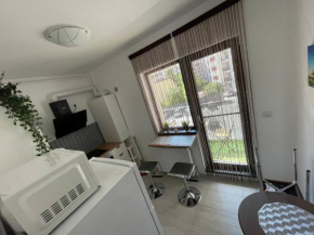 Stylish Studio Near Orhideea Towers W Free Wifi
